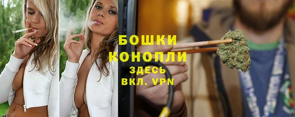 синтетический гашиш Заводоуковск