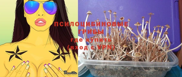 прущие крисы Заволжье
