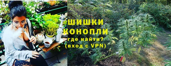 синтетический гашиш Заводоуковск