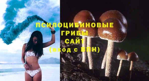 соль курить ск Зеленодольск