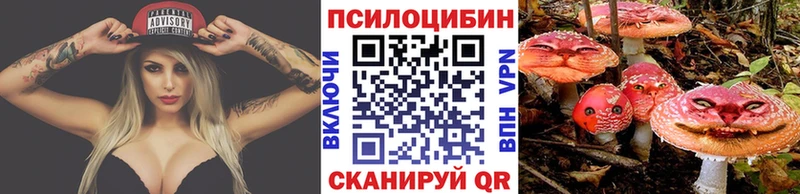 Галлюциногенные грибы Cubensis  Купить где  Изобильный 